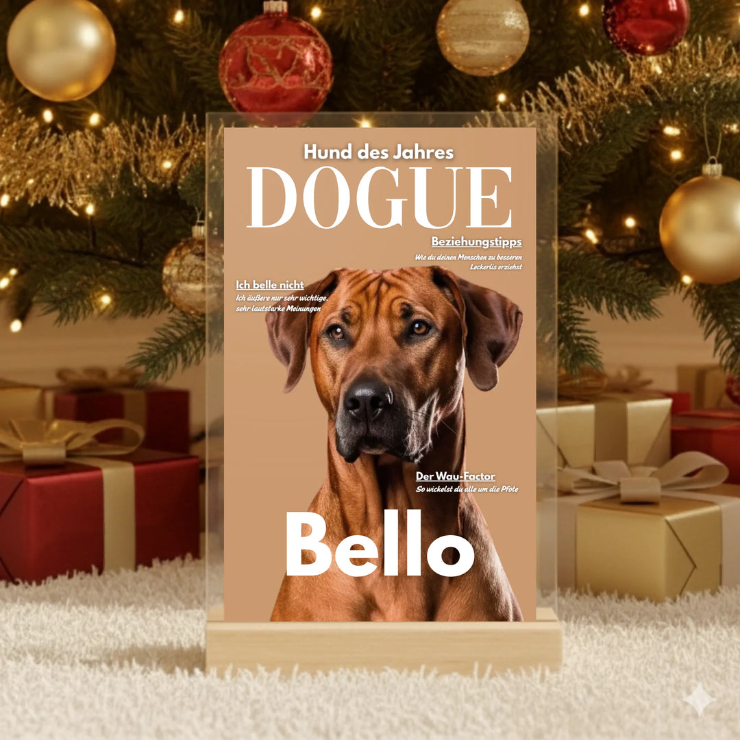 Gemini_Generated_Image_t24o7tt24o7tt24o