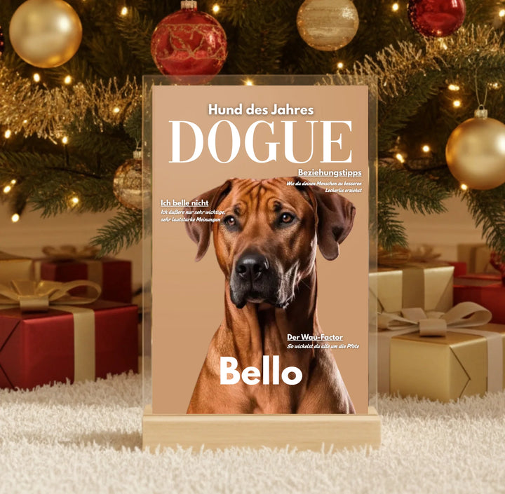 Hyperrealistic photo of an acrylic glass display with a wooden base, sized 20 × 30 cm, featuring the same cartoon-style illustration of the blonde woman and her Labrador as in the referenced image