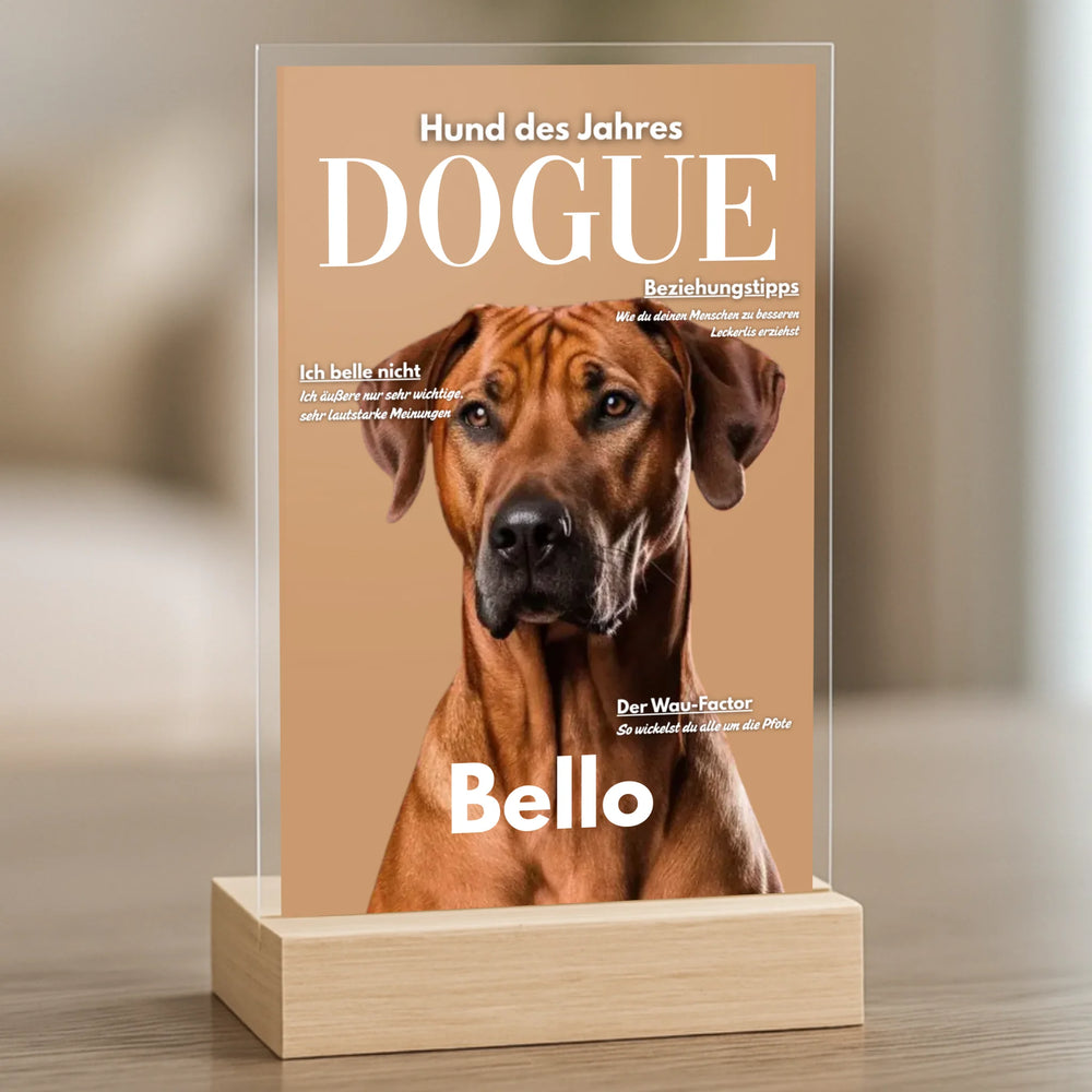 Design ohne Titel (31)